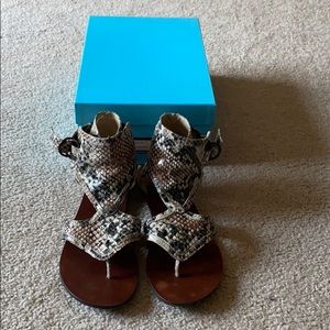 Steve Madden Snakeskin Gladiator Sandals